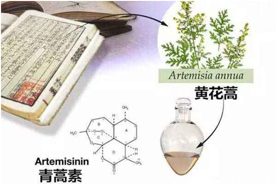押球,押球（中国）：向中医药看齐，与世界共享中医药文化(图1)